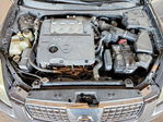 Nissan Maxima 2005