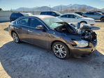 Nissan Maxima 2014