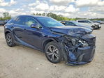 Lexus RX 2024
