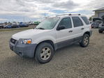 Ford Escape 2007