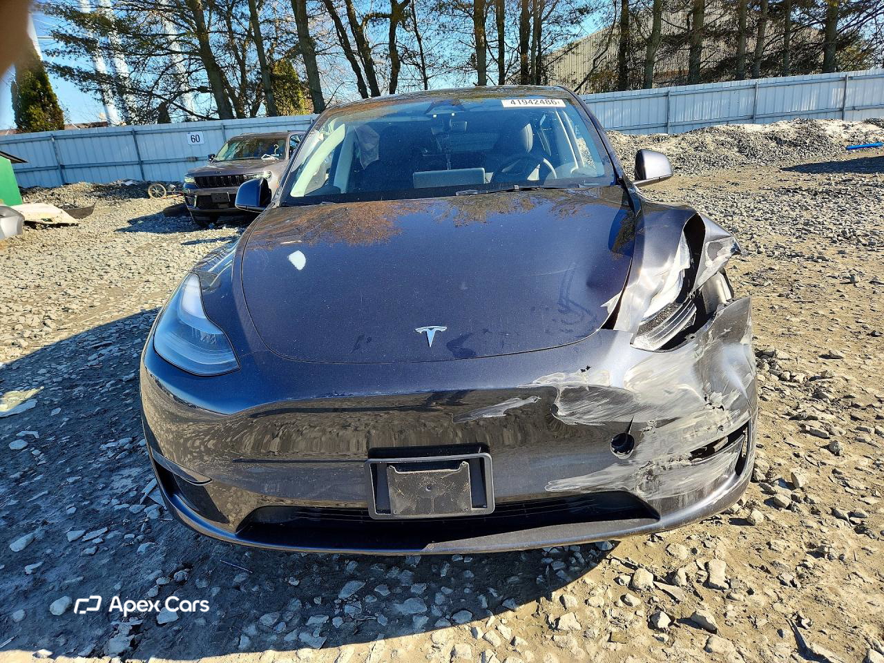 Tesla Model Y 2025