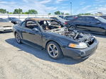 Ford Mustang 2002