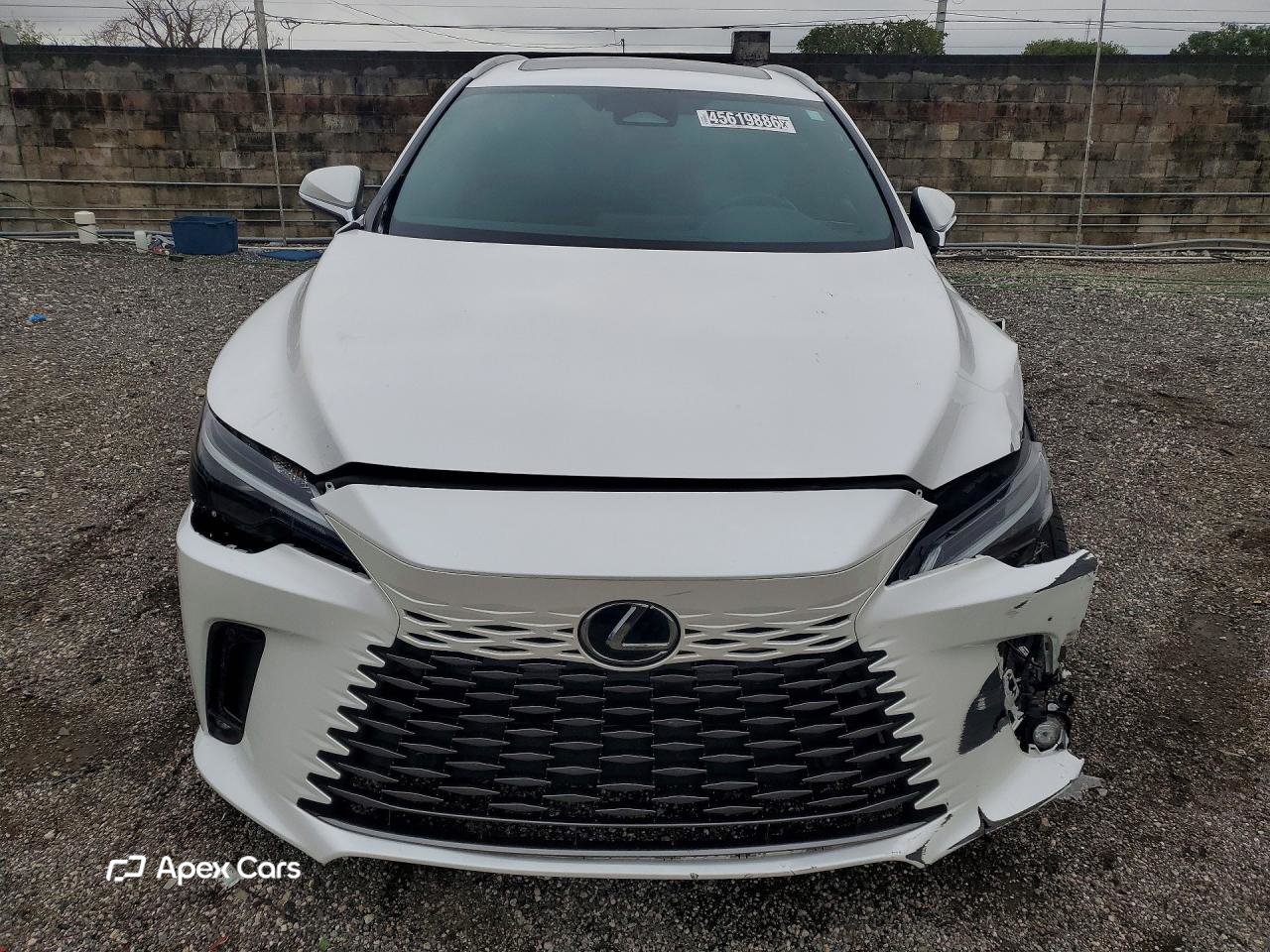 Lexus RX 2024