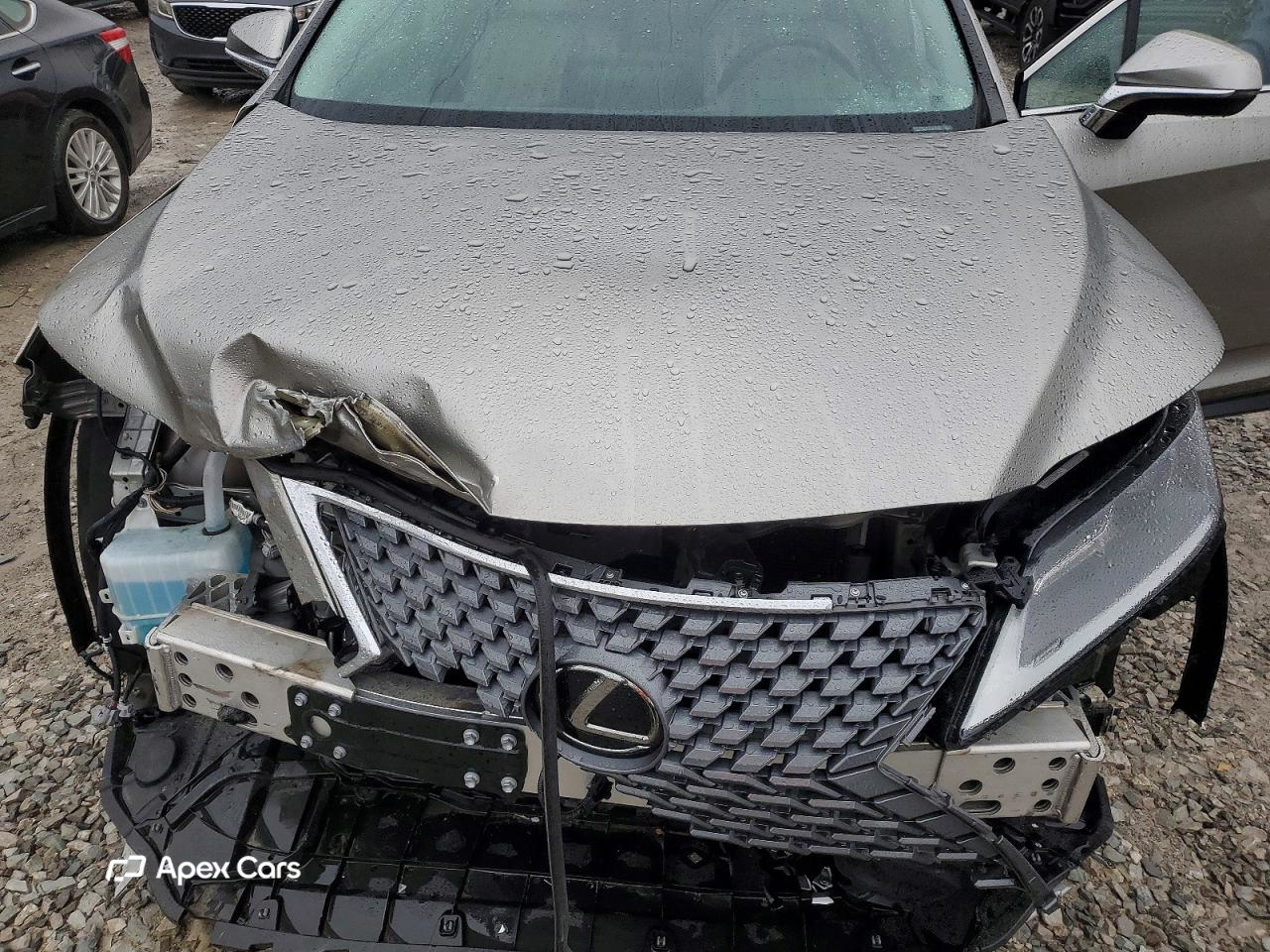 Lexus RX 2021