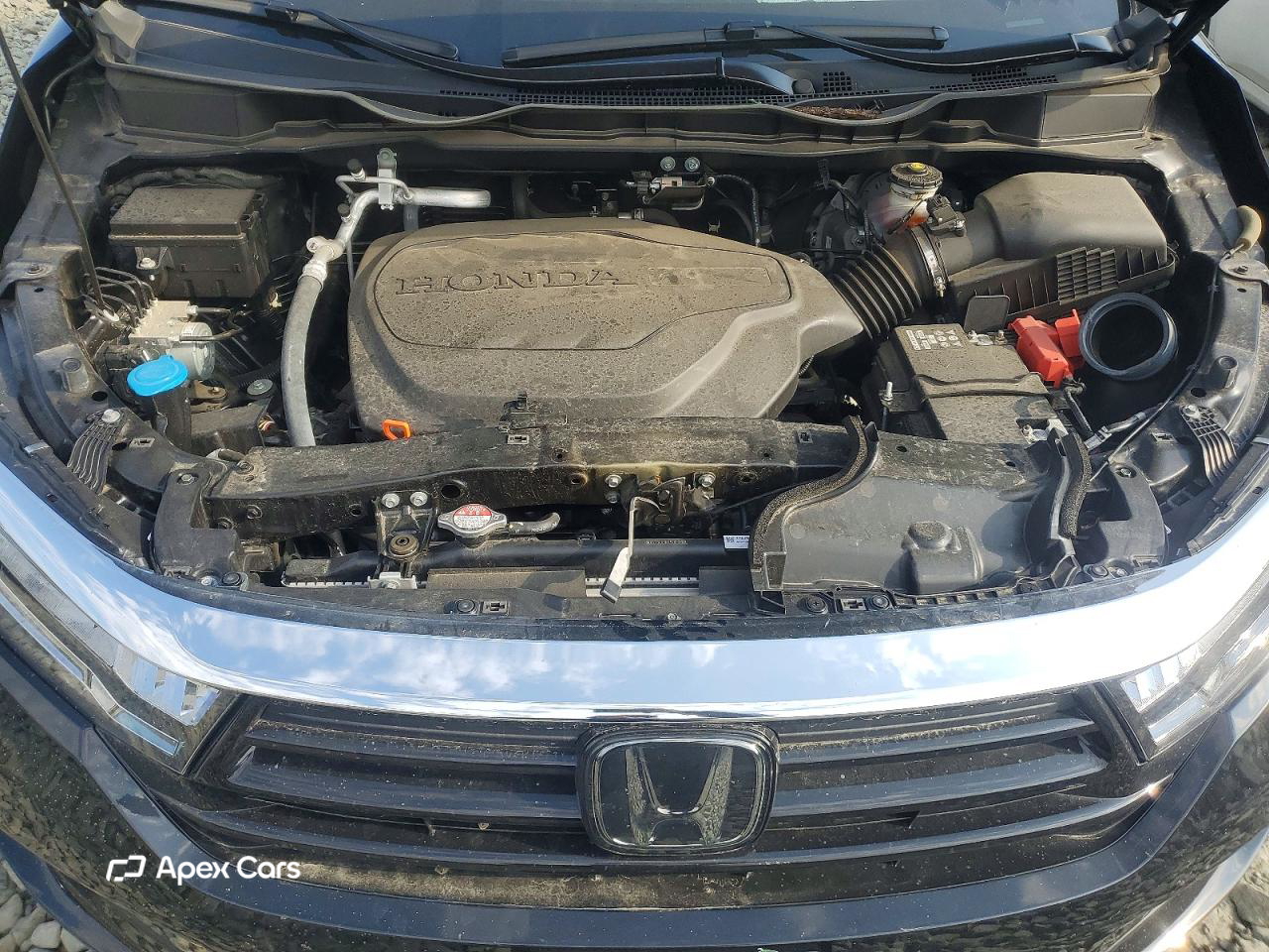 Honda Odyssey 2024
