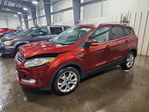 Ford Escape 2014
