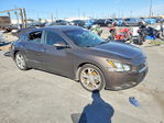 Nissan Maxima 2012