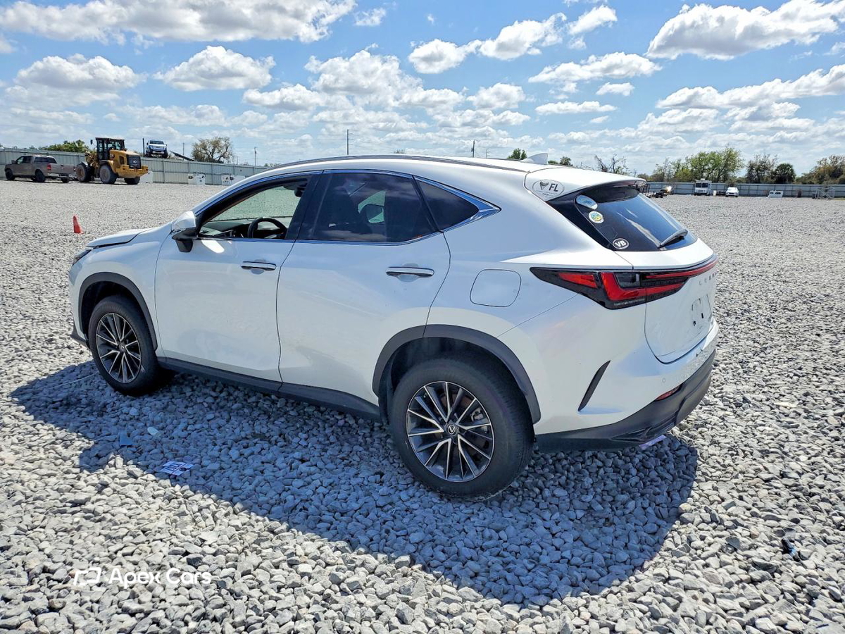 Lexus NX 2022