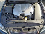 Lexus IS 2010