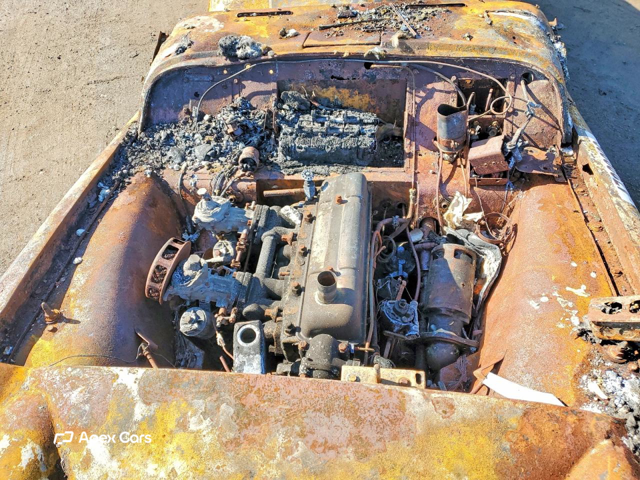 1959