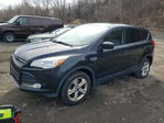 Ford Escape 2015