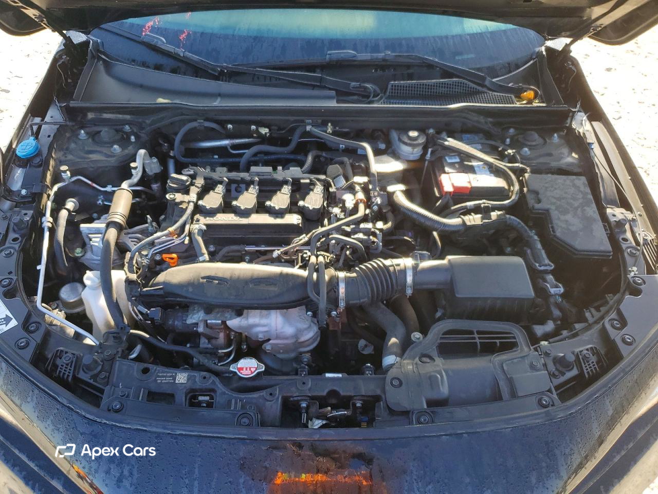 Honda Civic 2024