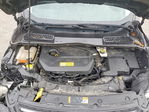 Ford Escape 2014