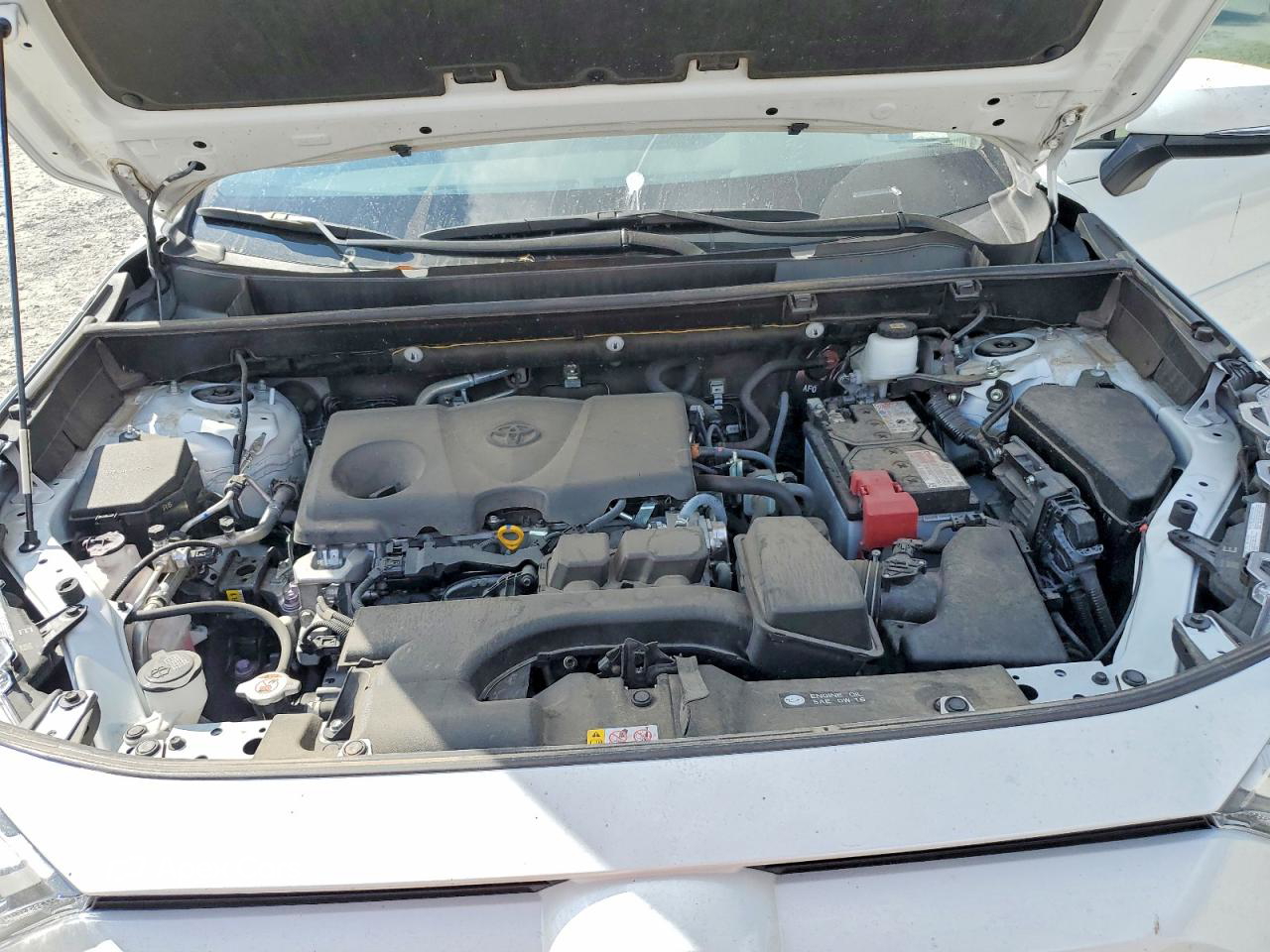 Toyota RAV 4 2024