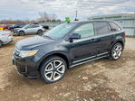 Ford Edge 2011