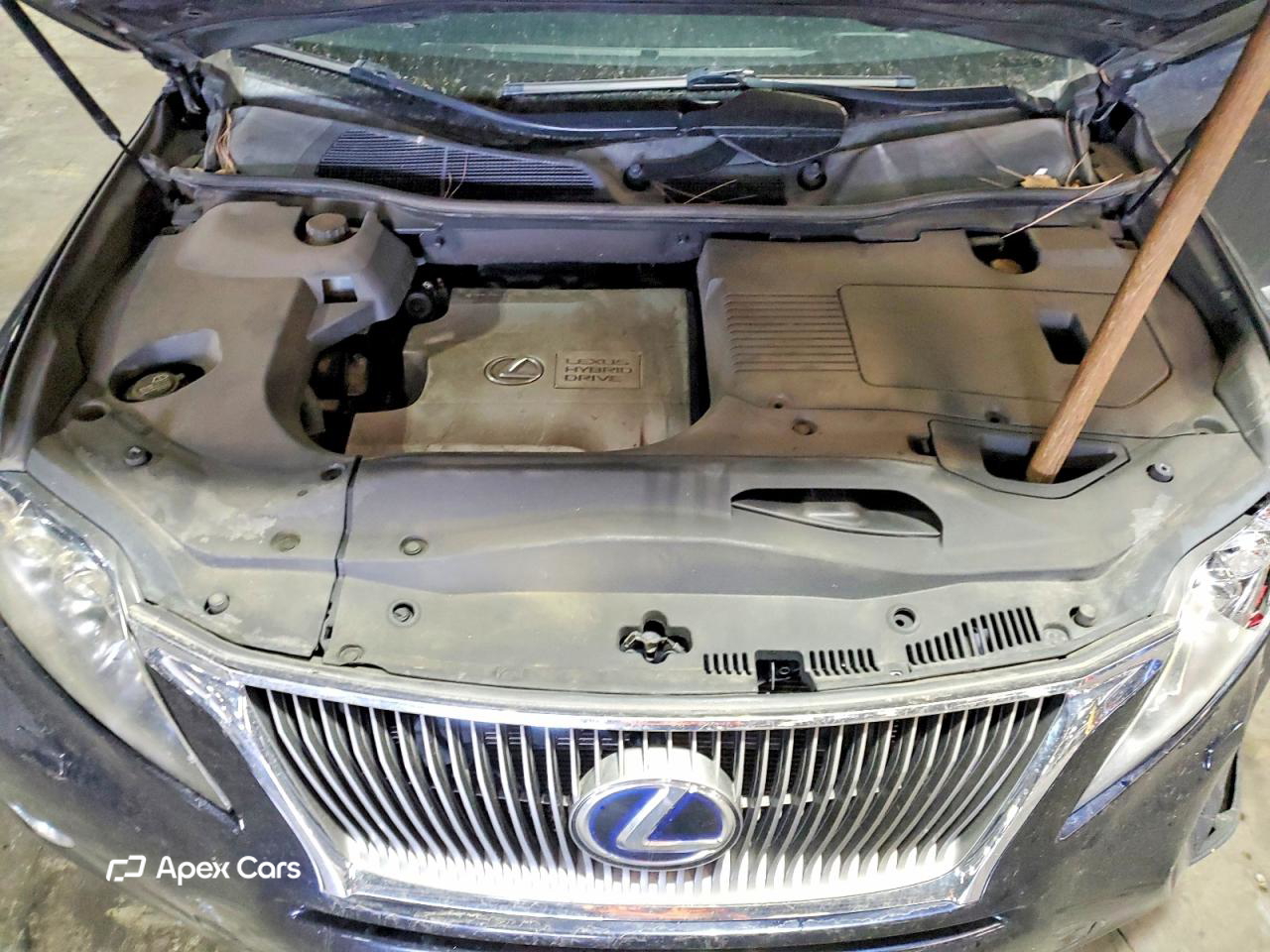 Lexus RX 2010