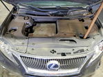 Lexus RX 2010