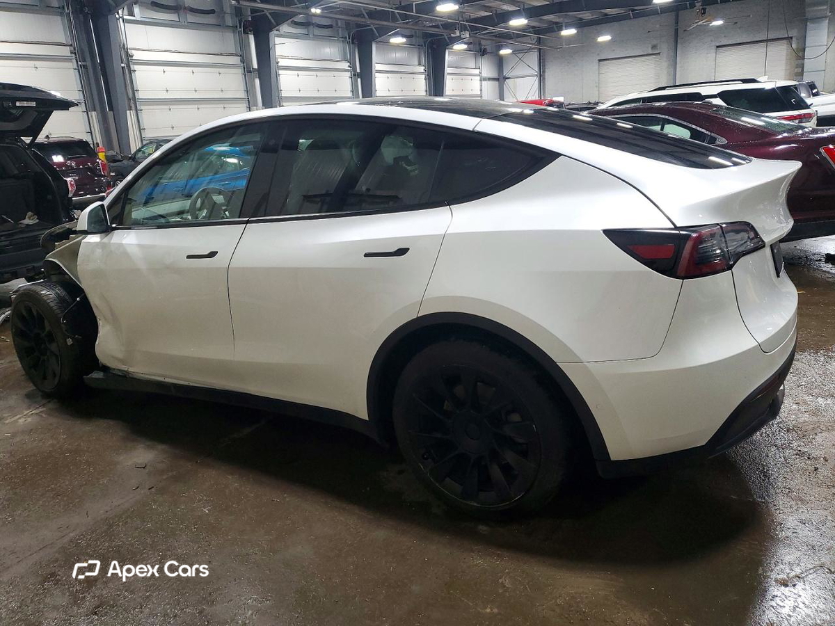 Tesla Model Y 2020