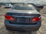 Lexus ES 2012
