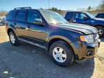 Ford Escape 2011