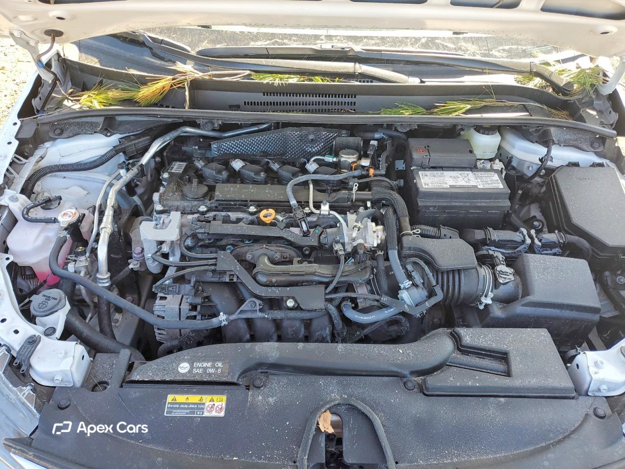 Toyota Corolla 2025