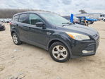 Ford Escape 2013