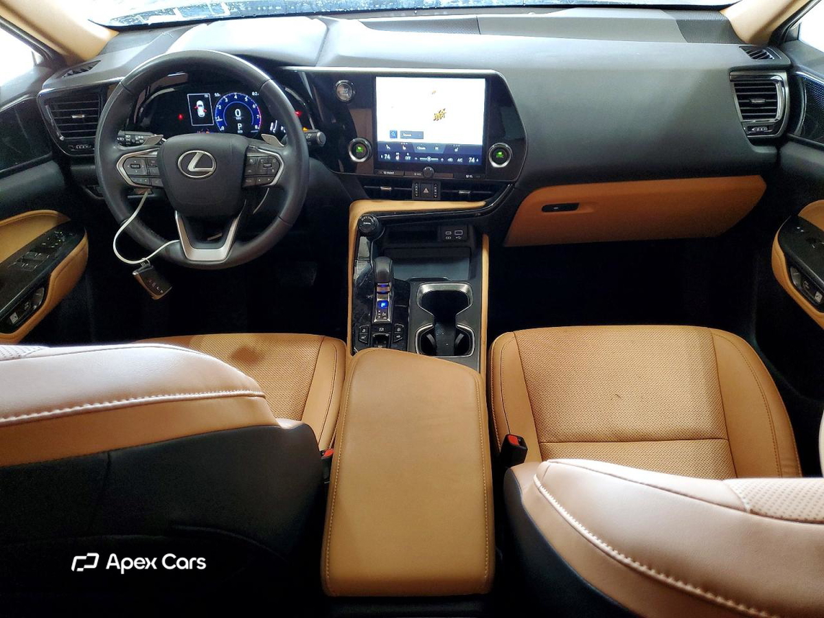 Lexus NX 2024