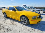 Ford Mustang 2005