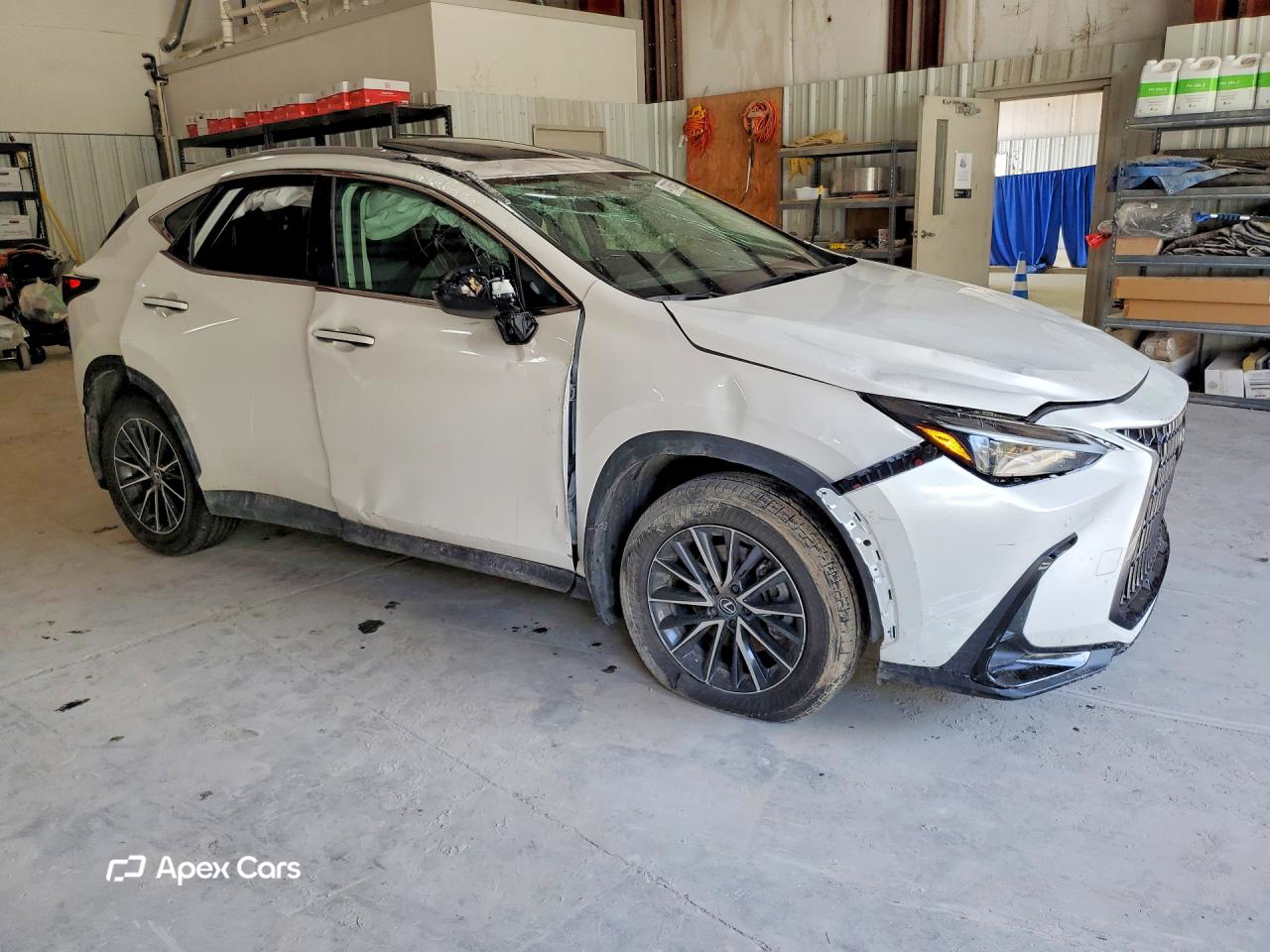 Lexus NX 2025