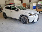 Lexus NX 2025