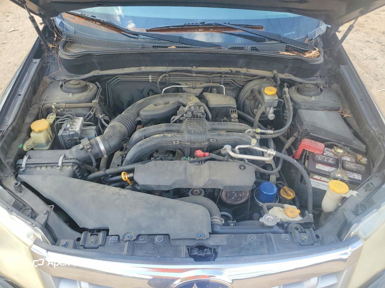 Subaru Forester 2011