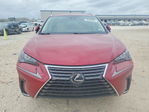 Lexus NX 2021