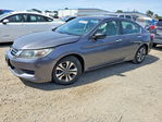 Honda Accord 2013