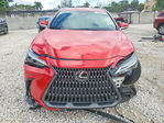 Lexus NX 2023