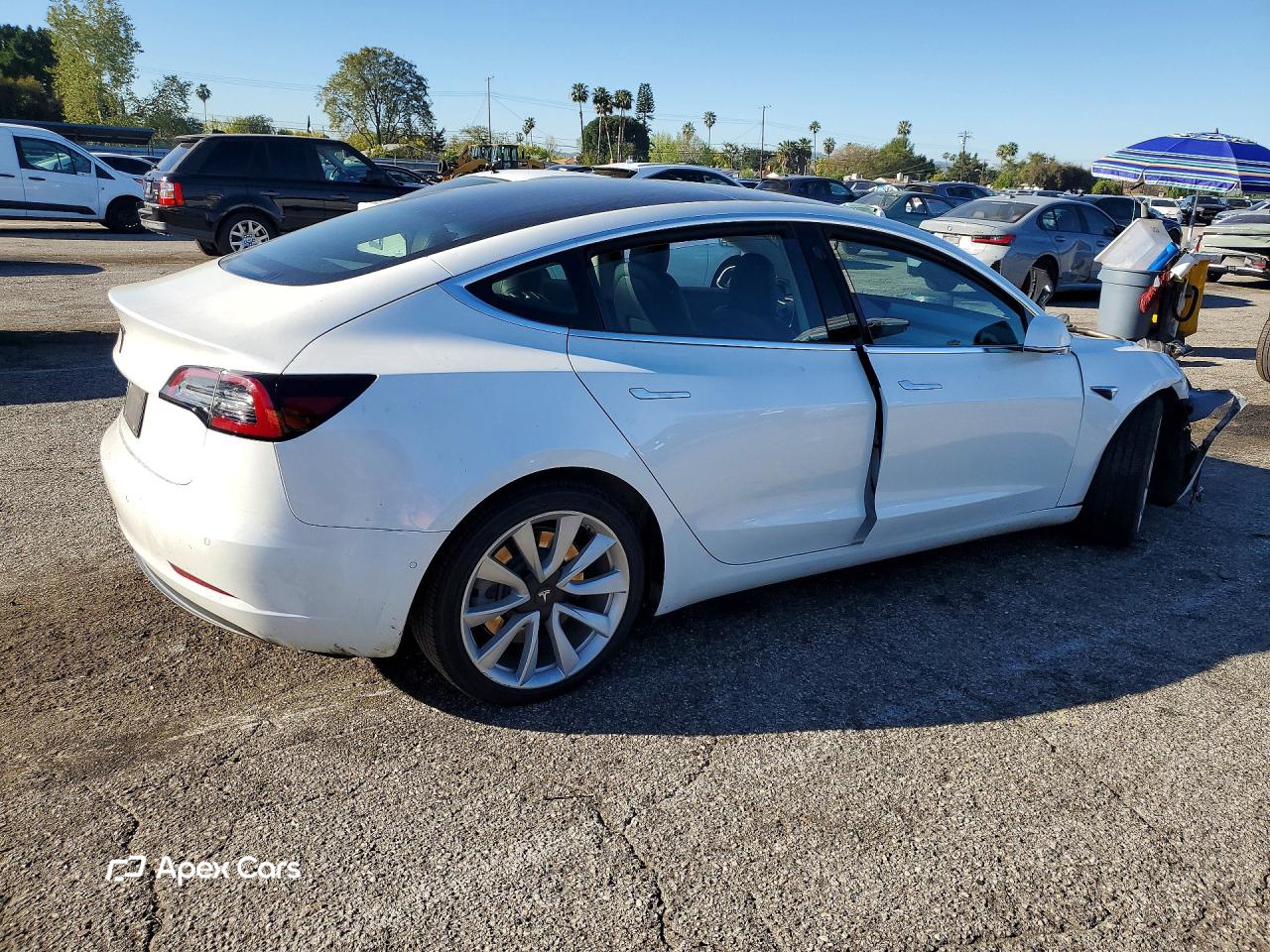 Tesla Model 3 2019