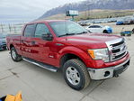 Ford F-150 2013
