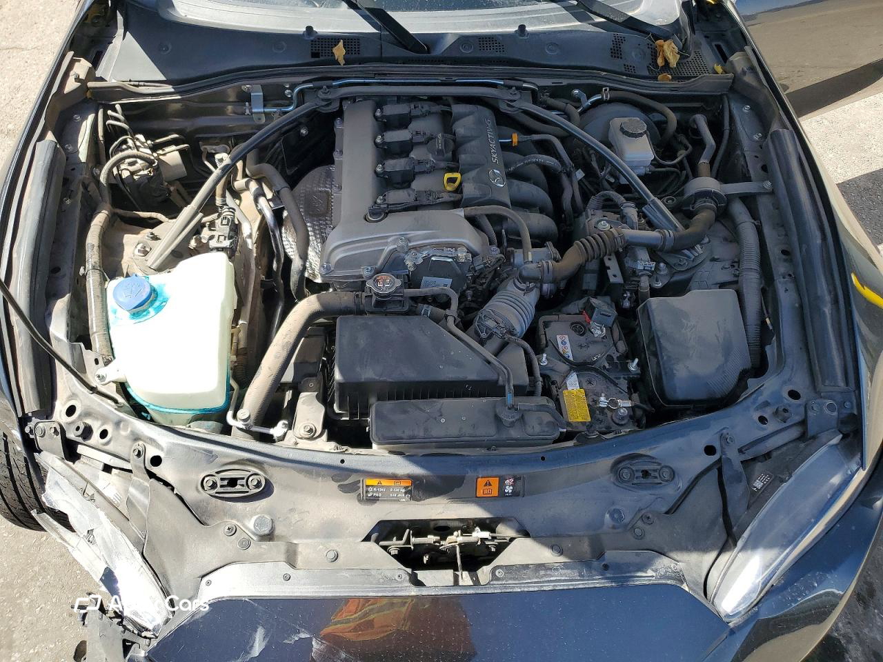 Mazda MX-5 2021