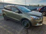 Ford Escape 2013