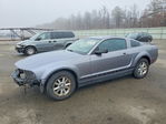 Ford Mustang 2007