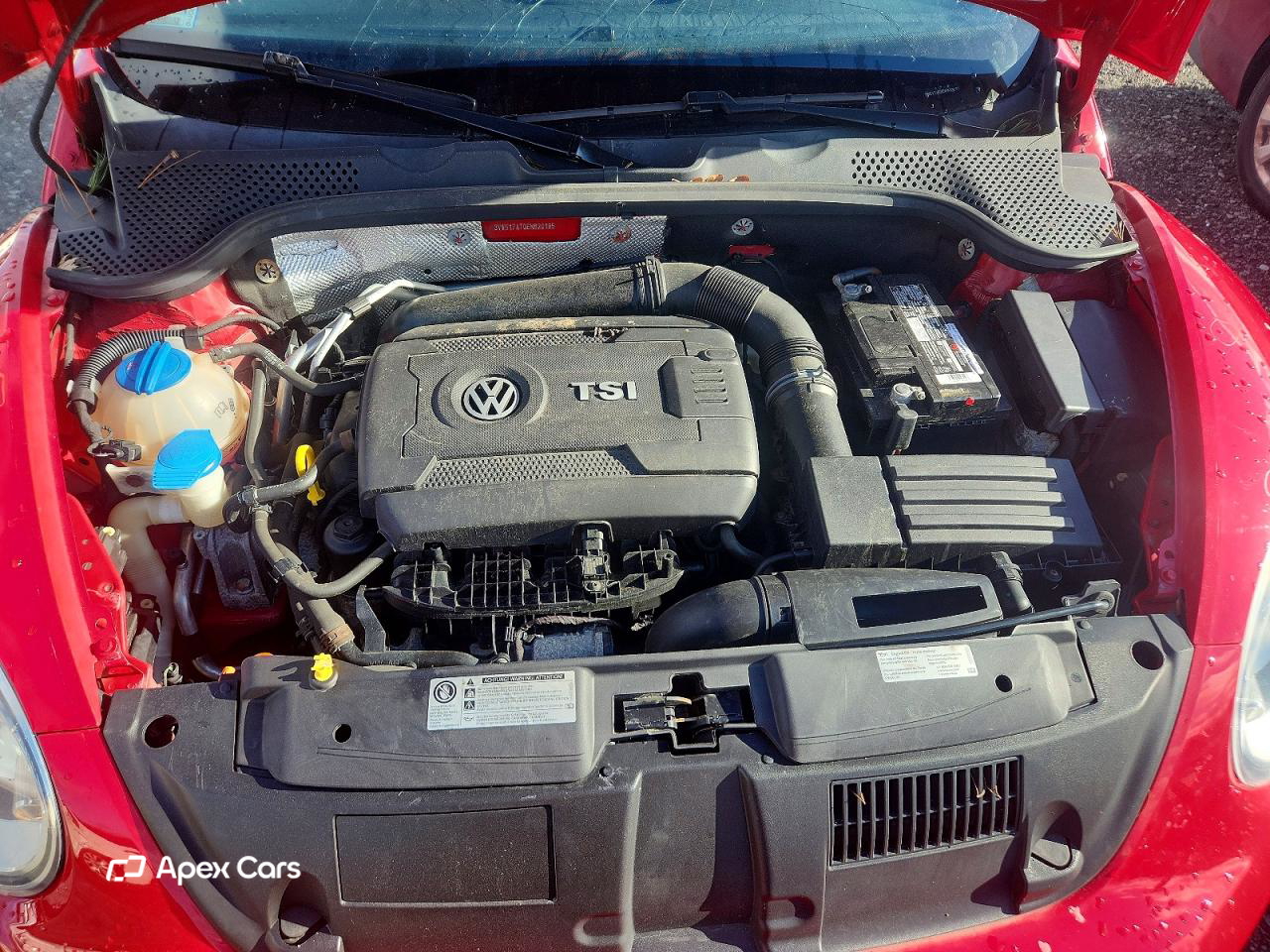 Volkswagen Beetle 2014