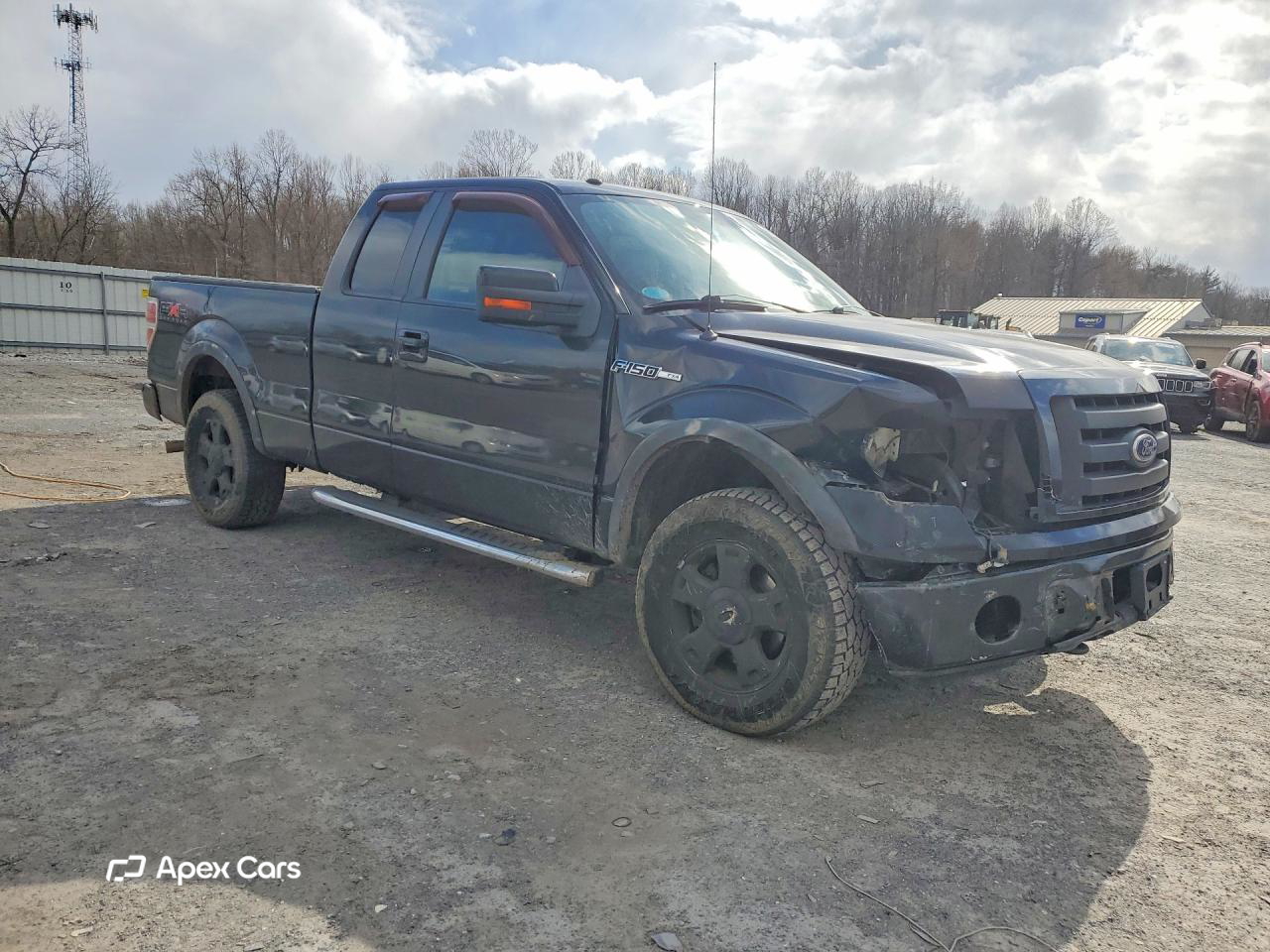 Ford F-150 2010