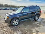 Ford Escape 2012