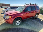 Ford Escape 2008