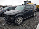 Ford Escape 2011