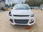 Ford Escape 2016