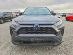 Toyota RAV 4 2021