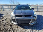 Ford Escape 2013