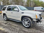 Cadillac Escalade 2011