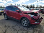 Ford Escape 2014