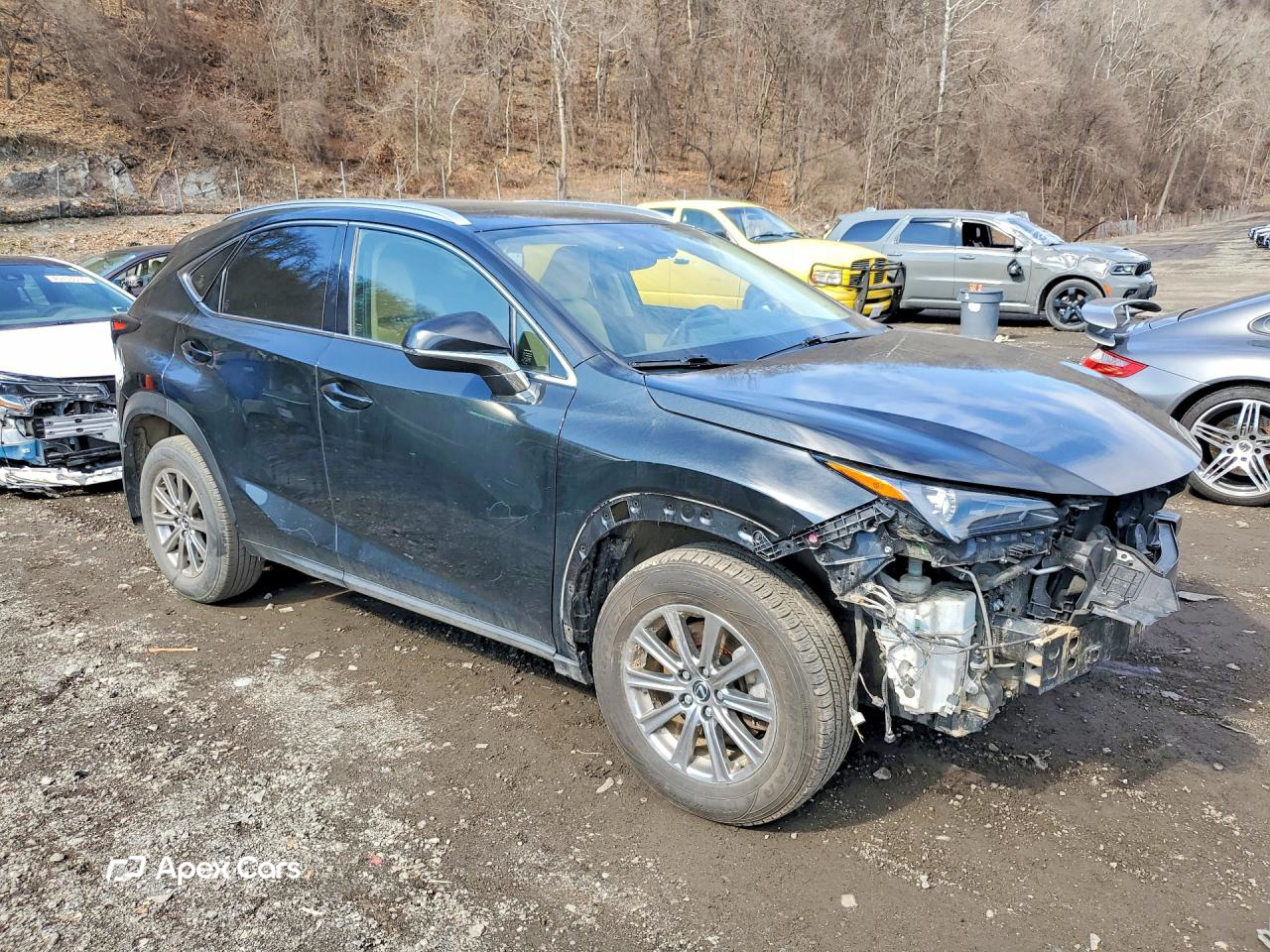 Lexus NX 2021